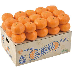 yEMtgzywszÉY OP݂ A13-1(755)yEzszysz