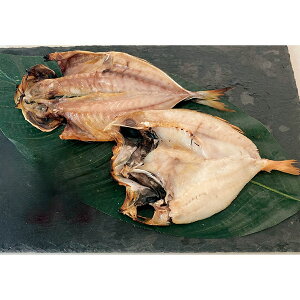 yEMtgzY VR̂ǂƐ^̊J B4-9(552)yEzszysz