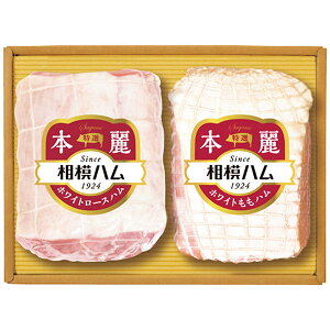 yEMtgz̓n {Mtg SR-503(1116)yEzszysz