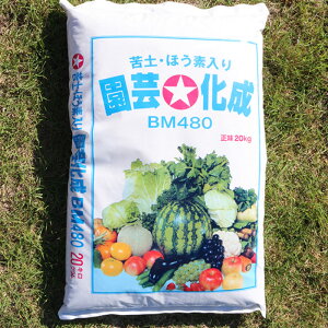 ṽIXX엿 yEzEf | BM480 1 20kg c  A ֌ˉ| ǂyÂ ͔ 엿