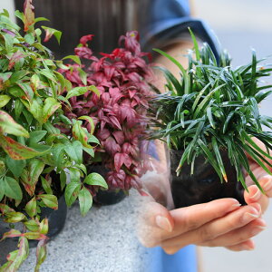 fRȃOhJo[ZbgIʗ(^}E)|bg^Cv80V10I r[ēT (֓ECE֐EkEMzɌ) OhJo[  G