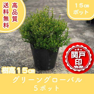 i O[O[o vybg |bg^Cv 15cm|bg 5|bgZbg 15cmO (֓ECE֐EkEMzɌ) r[ēT c   A 