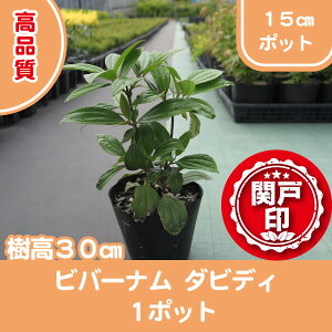 i ro[i _rfB |bg^Cv 15cm|bg 1|bg r[ēT c   A ֌ˉ|