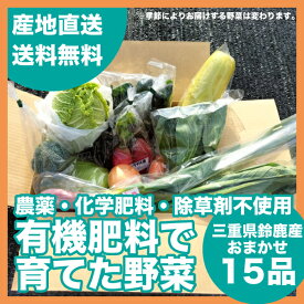 有機肥料で育てた野菜 旬野菜のおまかせセット 15品 農薬化学肥料除草剤不使用 送料無料(関東・東海・関西・北陸・信越に限り) 根菜 葉茎菜 果菜 季節野菜 関戸園芸
