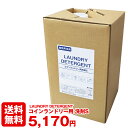 【送料無料】コインランドリー用洗剤S 抗菌剤 配合 18kg 業務用 液体洗剤 業務用洗剤 自動供給 ポンプ 自動 コインランドリー経営 バッグ コスト コスト削減 コストメリット メーカー直送 日本製 国産 コインランドリー専用 節水 タイプ 激安 リーズナブル 格安
