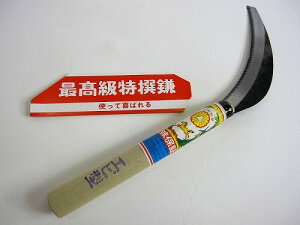 芙@mRM@@Gr^@؂ꖡۏ؁@ŷ芙z