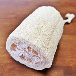 ̂Ȃ VR ւ w`} Ђt ACZ / {fB g   䏊 Lb` H  pi VRf C