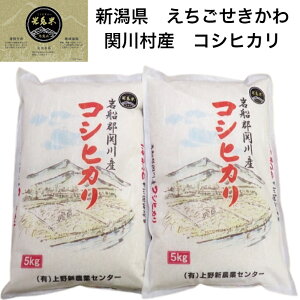 yVā@ߘa7NxYi2025N10jzV ֐쑺Y RVqJ 2L 5L 10L e n  DYRVqJ D V  VY VYRVqJ ֐쑺