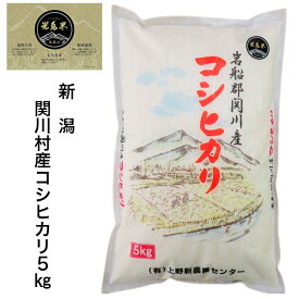 【新米　令和7年度産（精米2026年1月）】新潟 関川村産 コシヒカリ 2キロ 5キロ 10キロ 光兎米 女川地区 白米 岩船産コシヒカリ 岩船米 新潟 米 新潟県産米 新潟県産コシヒカリ 関川村