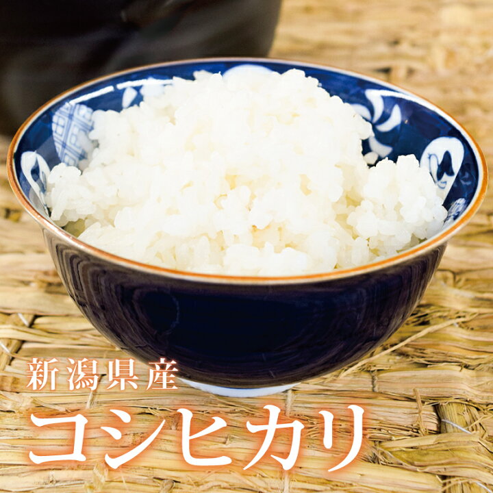 楽天市場】【令和7年産】コシヒカリ 令和7年産 2025年度産 5kg 10kg 