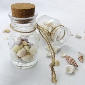 KXr RNr Wr KX{g GAIWi{g 501xx Ђt q35×31×20r