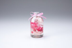 n[oE t[Mtg vU[uht[ hCt[ v[g r ԁyMtgV[tz