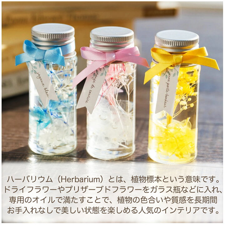 楽天市場】ハーバリウムミニ フラワーギフト プリザーブドフラワー  