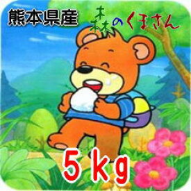 【令和5年産】九州　熊本県産森のくまさん5キロ