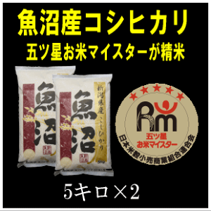 yVāzyߘa7NYz싛YRVqJ܃că}CX^[ɐĂ܂