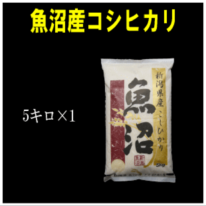 南魚沼産コシヒカリ5キロ クイーンズ伊勢丹ネットショップ / 令和6年産 新潟県 南魚沼産