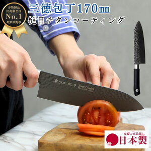 y5̕t|Cg20{Ez Ɩ  `^R[eBO O17cm TT01 { 򕌌 ֎s  ق傤   TJi O낵 hg hg  ނ J J 