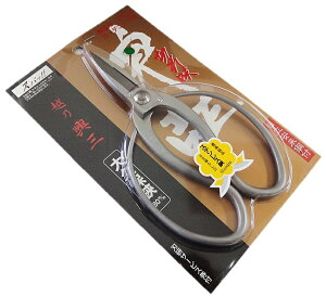 zTO@v@XeX@180mmy395142z