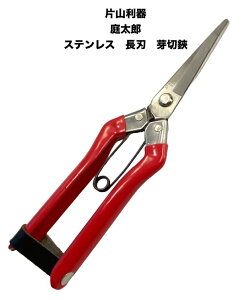 y2{܂Ń[ 270~ ΉizЎR둾Y@XeXnnT~@y24-1zykatayama-mekiri-215z