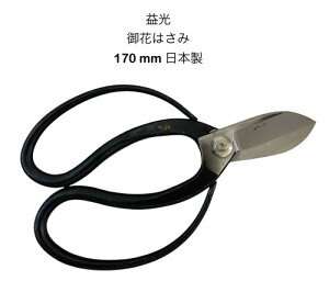 v×Ԃ͂݉ؓ170mmԂ΂ݐԃnT~{y21-1zymasumitsu-hana-170z