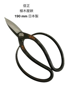 Mv@190mmA؉AA؃nT~~XL|{y21-1zynobumasa-ueki-190z