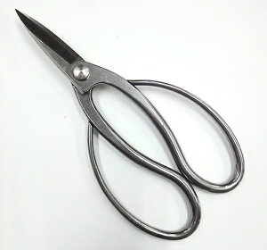 ւ̐n@IIIXeX@~lW~@180mmy24-2-1004187z