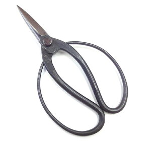 v A || ʑŃlW Ő^ 205mm y21-1-10017840z