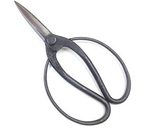 v A || ʑŒn lW Ő^ 215mm y21-1-10017841z