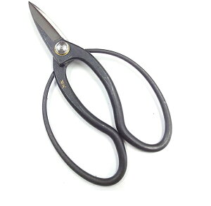 v vA180mm y24-4-A-10017656z