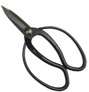 Liv@200mmv n@|y24-4-A-10017621z