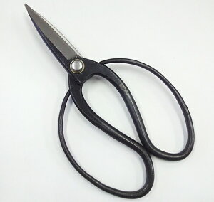 vv A؉| n210mm|1lW~y21-1-10017844z