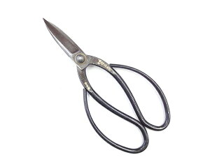 M@~|@n@210mm@y24-2-G-10017589z