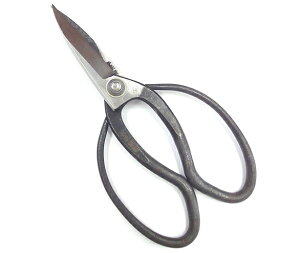 M v nA| 195mm y24-2-K-10017592z