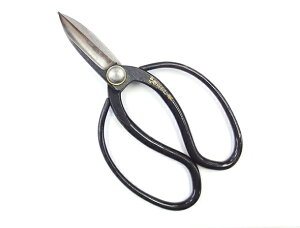 MA@200mm@vی^@nŁ@|y24-2-H-10017590z