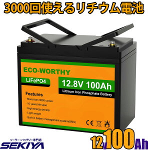 �����_�S���`�E���d�r 12v 10Ah128Wh �`100Ah1280Wh 3000����� ���S BMS�ی� �y�� �R���p�N�g �f�B�[�v�T�C�N���o�b�e���[ �T�|�[�g���� SEKIYA