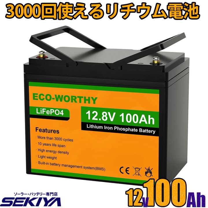 楽天市場】リン酸鉄リチウム電池 12v 100Ah 1280Wh 3000回寿命 BMS保護 