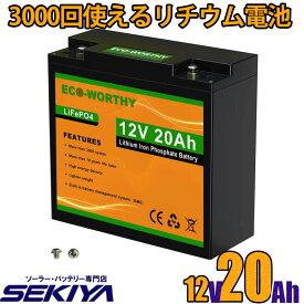 3000回使える 20AH リチウムイオンバッテリー 12V 256Wh バッテリー リン酸鉄 リチウム電池 lifepo4 ディープサイクル BMS保護 RV キャンピングカー 自動車 ソーラーパネル ソーラーシステム 軽量 コンパクト EcoWorthy