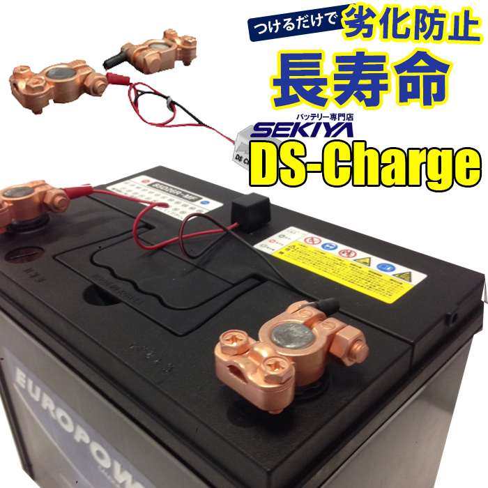 SEKIYA バッテリー 自動再生 超小型パルス DS Charger バッテリー交換不要 バッテリーにつけるだけで 寿命が２倍３倍！ DSチャージャー 宮崎県ものづくり大賞受賞