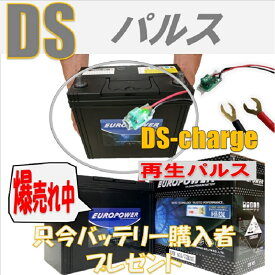 バッテリー自動再生 小型パルス 端子式ねじ 動作LED付 DS Charger DSパルス DSチャージャー バッテリー交換不要 宮崎県ものづくり大賞受賞 九州経済産業局認定技術 サポート無料 SEKIYA