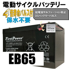 劣化防止パルス付 寿命4倍 サイクルバッテリー 90Ah 12V EB65互換 密閉型 メンテナンスフリ 6カ月保証ー LFP1290D FIRSTPOWER ファーストパワー 宮崎県ものづくり大賞受賞 九州産業局認定技術 サポート無料 SEKIYA