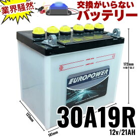 交換のいらないバッテリー 30A19R 10年寿命 劣化防止パルス付 農機具・発電機・大型バイク 1年保証付 EUROPOWER ユーロパワー 宮崎県ものづくり大賞受賞 九州産業局認定技術 サポート無料 SEKIYA