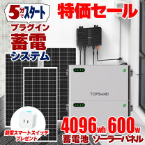楽天市場】家庭用 自作 蓄電池の通販