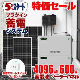 【入荷待ち】【フルセット特別価格】5分で作れる蓄電システム フルセット（インバーター + 蓄電池 4096wh + ソーラーパネル 600w）プラグイン蓄電 ハイブリッドマイクロインバーター 1200W バッテリーセット 工事不要 プラグイン 自家発電 SEKIYA