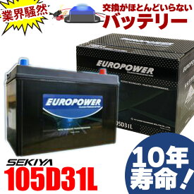 交換のいらないバッテリー 105D31L 10年寿命 劣化防止パルス付 国産車 ランドクルーザー・ハイエース 1年保証付 EUROPOWER ユーロパワー 宮崎県ものづくり大賞受賞 九州産業局認定技術 サポート無料 SEKIYA