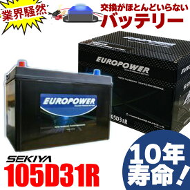 交換のいらないバッテリー 105D31R 10年寿命 劣化防止パルス付 国産車 ランドクルーザー・ハイエース 1年保証付 EUROPOWER ユーロパワー 宮崎県ものづくり大賞受賞 九州産業局認定技術 サポート無料 SEKIYA