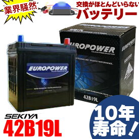 交換のいらないバッテリー 42B19L 10年寿命 劣化防止パルス付 国産車 軽・コンパクトカー 1年保証付EUROPOWER ユーロパワー 宮崎県ものづくり大賞受賞 九州産業局認定技術 サポート無料 SEKIYA