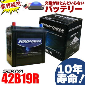 交換のいらないバッテリー 42B19R 10年寿命 劣化防止パルス付 国産車 軽・コンパクトカー 1年保証付EUROPOWER ユーロパワー 宮崎県ものづくり大賞受賞 九州産業局認定技術 サポート無料 SEKIYA