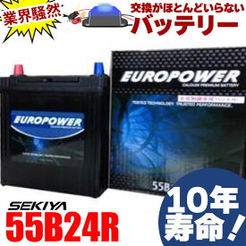 交換のいらないバッテリー 55B24R 10年寿命 劣化防止パルス付 国産車 バン・セダン メンテナンスフリー 1年保証付 EUROPOWER ユーロパワー 宮崎県ものづくり大賞受賞 九州産業局認定技術 サポート無料 SEKIYA
