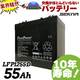 交換のいらないサイクルバッテリー 55Ah 12V EB35互換 10年寿命 劣化防止パルス付 密閉型 メンテナンスフリー 6カ月保証 LFP1255D FIRSTPOWER ファーストパワー 宮崎県ものづくり大賞受賞 九州産業局認定技術 サポート無料 SEKIYA