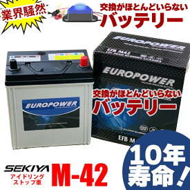交換のいらないバッテリー M-42 アイドリングストップ車 10年寿命 劣化防止パルス付 寒冷地対応 3年or10万キロ保証 EUROPOWER ユーロパワー 宮崎県ものづくり大賞受賞 九州産業局認定技術 サポート無料 SEKIYA